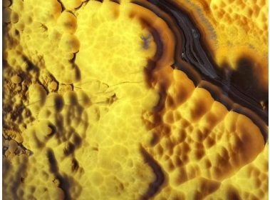 Оникс - Оникс Mexico