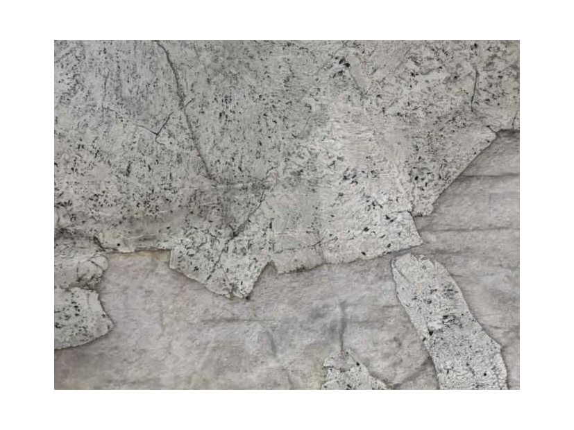 Кварцит Patagonia White -  купити